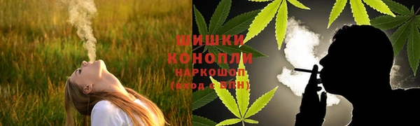ешки Аркадак