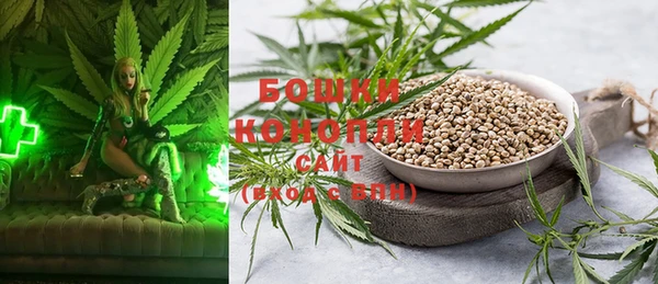 ешки Аркадак