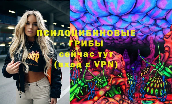 ешки Аркадак