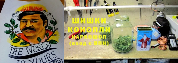 ешки Аркадак